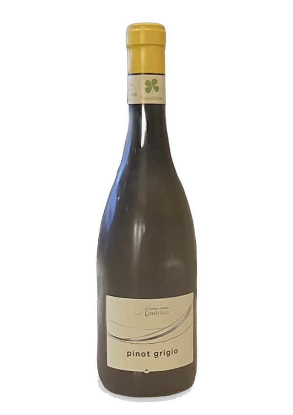 Pinot-Grigio-2024-600x850-01 Pinot Grigio 2024 / Andriano - 画像 (1)